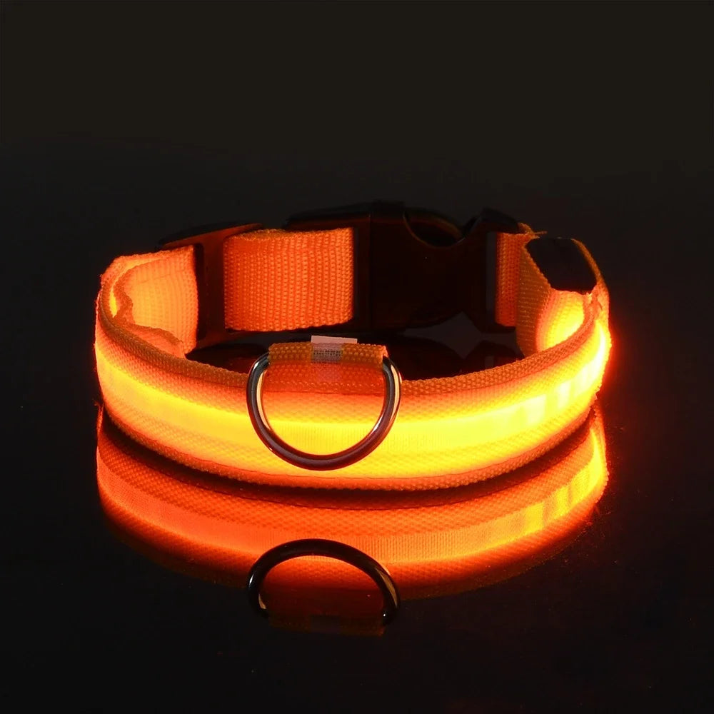 LED Dog Collar – Luminous Nylon Night Safety Collar for Pets