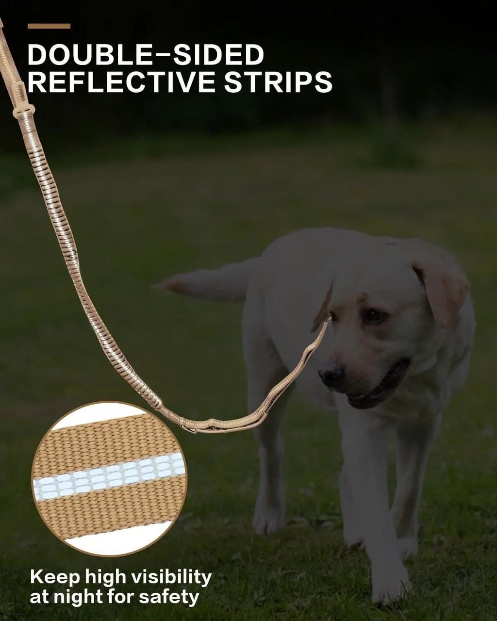 Reflective Bungee Dog Leash – Heavy-Duty No-Pull Leash with Seatbelt