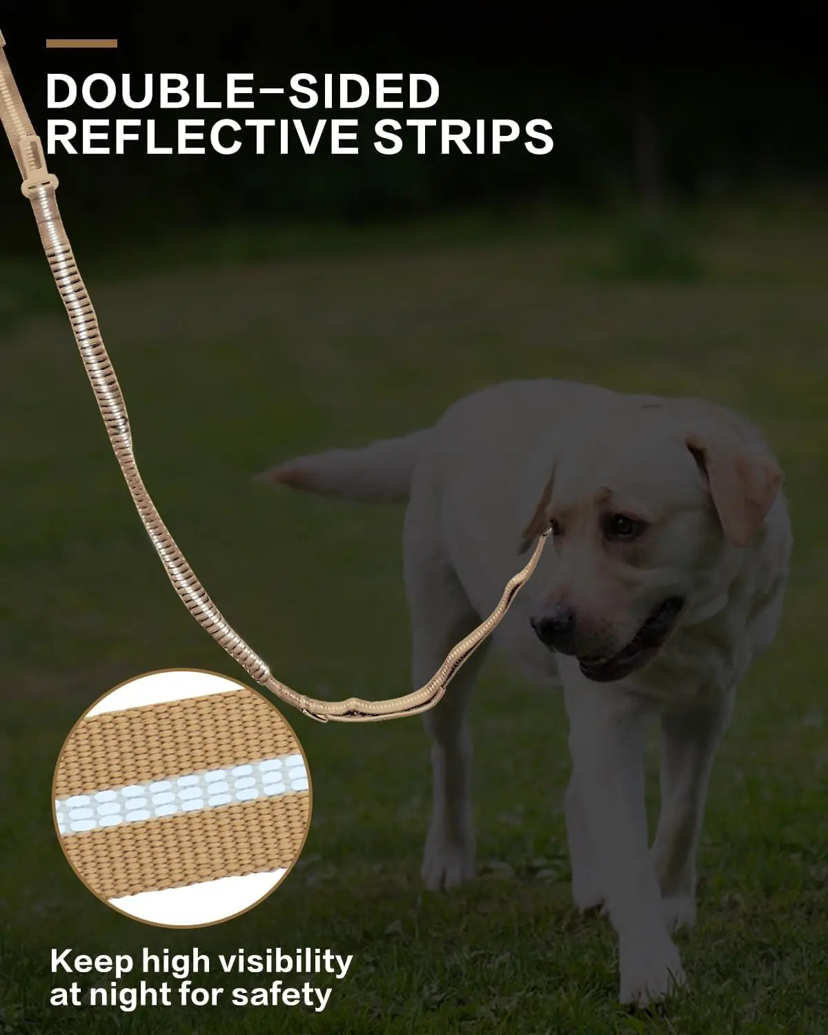 Reflective Bungee Dog Leash – Heavy-Duty No-Pull Leash with Seatbelt