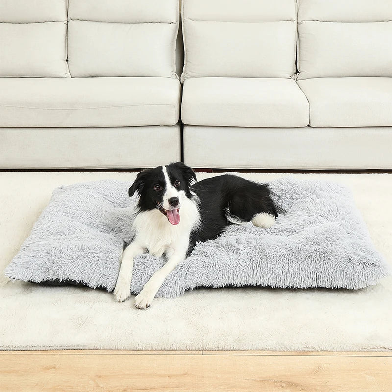 Soft Plush Dog & Cat Bed – Cozy Pet Cushion & Sleeping Sofa