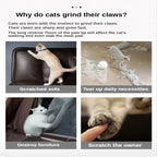 Corrugated Cat Scratching Board with Catnip - Multi-Functional Claw Grinding Plate