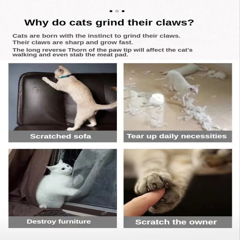 Corrugated Cat Scratching Board with Catnip - Multi-Functional Claw Grinding Plate