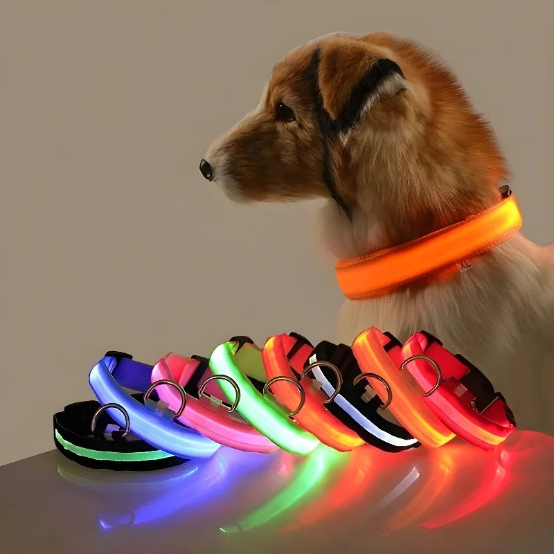 LED Dog Collar – Luminous Nylon Night Safety Collar for Pets