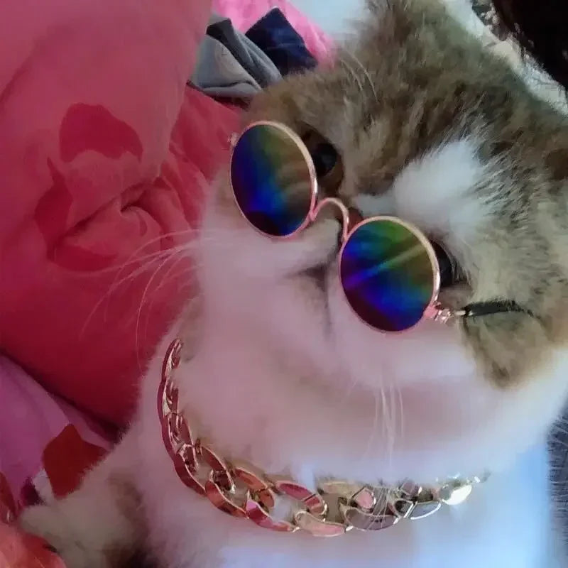 Cute Pet Sunglasses – UV Protection Glasses for Cats & Small Dogs