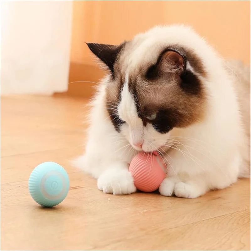 Smart Electronic Dog & Cat Toy Ball – USB Rechargeable Interactive Toy