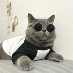 Cute Pet Sunglasses – UV Protection Glasses for Cats & Small Dogs