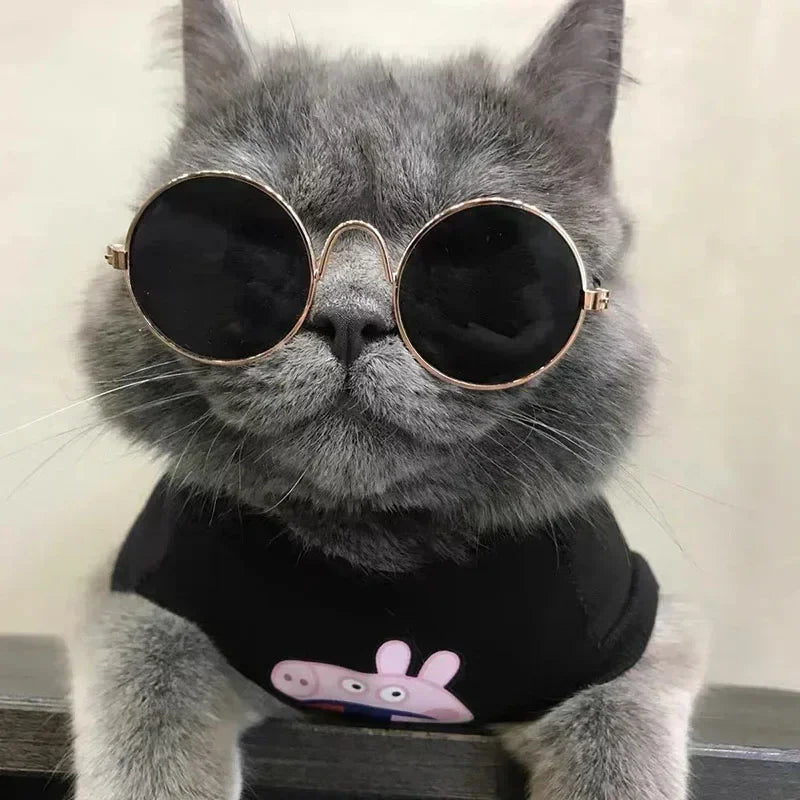 Cute Pet Sunglasses – UV Protection Glasses for Cats & Small Dogs