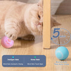 Smart Electronic Dog & Cat Toy Ball – USB Rechargeable Interactive Toy