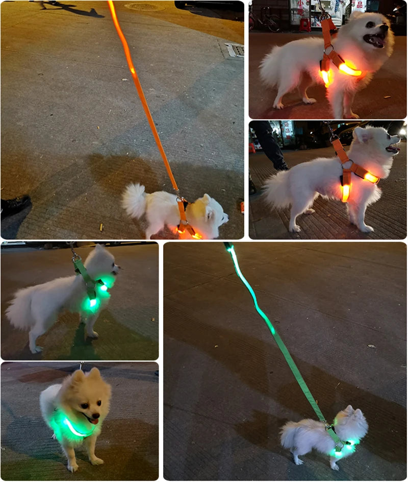 LED Glow Dog Harness - Reflective No-Pull Harness with 3 Light Modes