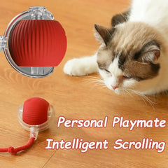 Automatic Cat Ball Toy – Smart Rolling Ball with Faux Tail