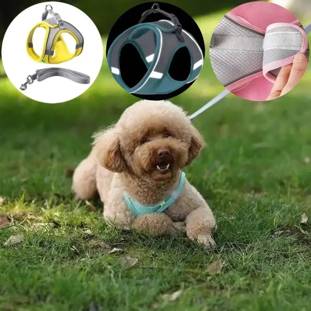 Adjustable Dog & Cat Harness Set – Small Dog Walking Vest with Leash