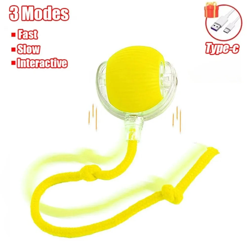 Automatic Cat Ball Toy – Smart Rolling Ball with Faux Tail