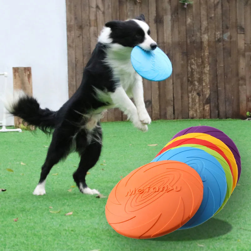 Bite-Resistant Dog Flying Disc – Outdoor Interactive Training Toy
