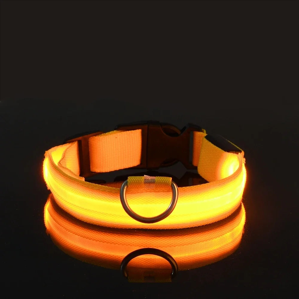 LED Dog Collar – Luminous Nylon Night Safety Collar for Pets