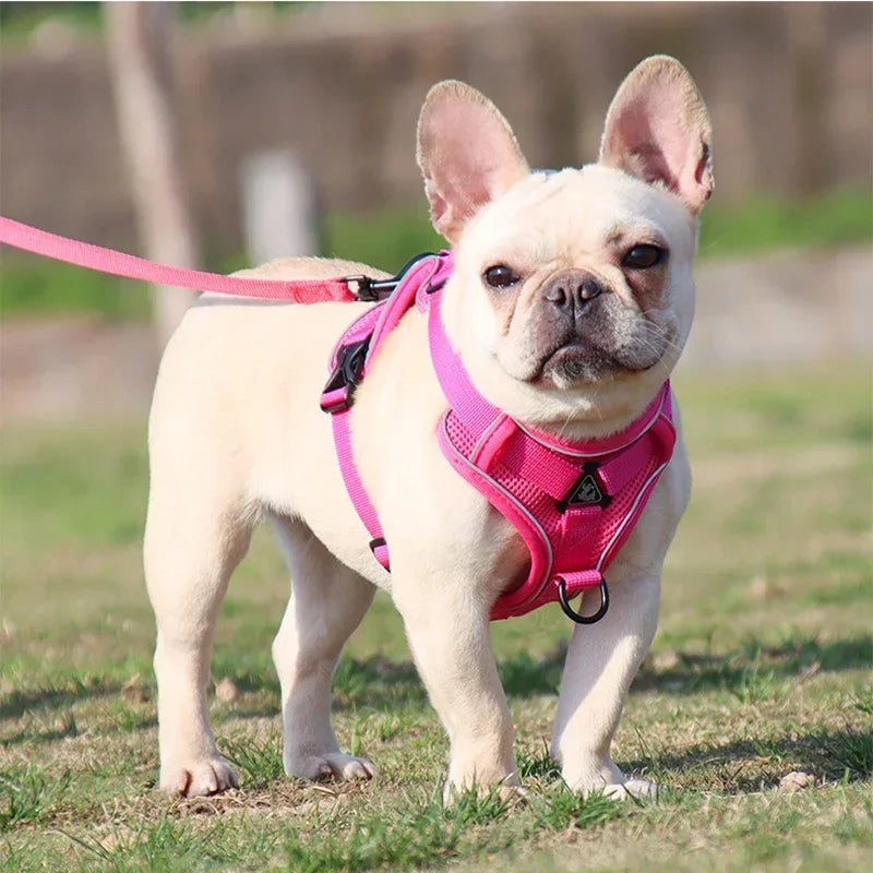 No-Pull Dog & Cat Harness Set – Adjustable Reflective Vest with Leash