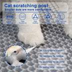 Waterproof Cat Litter Mat – Double Layer Non-Slip Pet Clean Pad