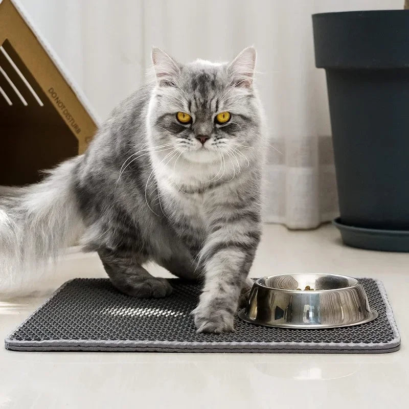 Waterproof Cat Litter Mat – Double Layer Non-Slip Pet Clean Pad