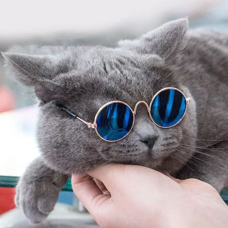 Cute Pet Sunglasses – UV Protection Glasses for Cats & Small Dogs