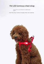 LED Glow Dog Harness - Reflective No-Pull Harness with 3 Light Modes