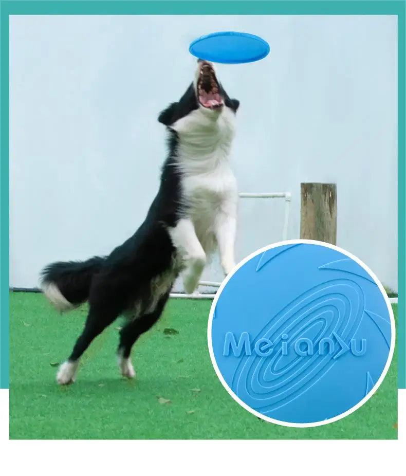 Bite-Resistant Dog Flying Disc – Outdoor Interactive Training Toy