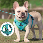 No-Pull Dog & Cat Harness Set – Adjustable Reflective Vest with Leash