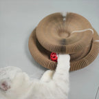 Foldable Cat Scratcher Bed - Curved Cardboard Scratcher & Lounge