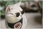 Cute Pet Sunglasses – UV Protection Glasses for Cats & Small Dogs