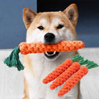 Carrot-Shaped Dog Chew Toy – Durable Rope for Puppies