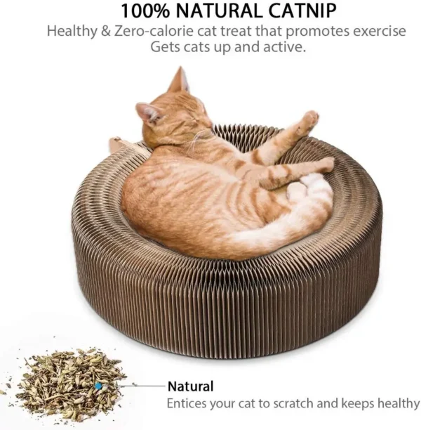 Foldable Cat Scratcher Bed - Curved Cardboard Scratcher & Lounge