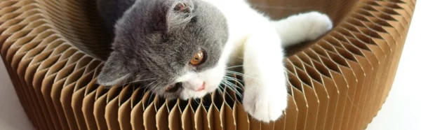 Foldable Cat Scratcher Bed - Curved Cardboard Scratcher & Lounge