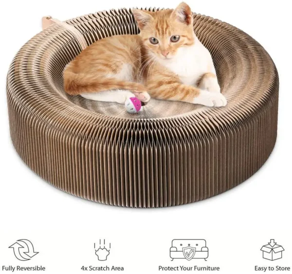 Foldable Cat Scratcher Bed - Curved Cardboard Scratcher & Lounge