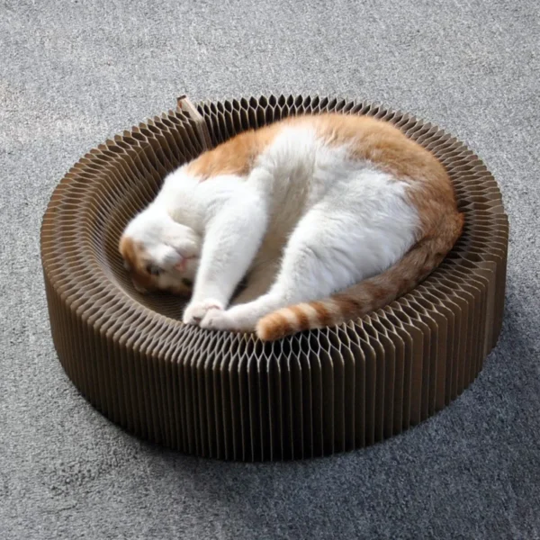 Foldable Cat Scratcher Bed - Curved Cardboard Scratcher & Lounge