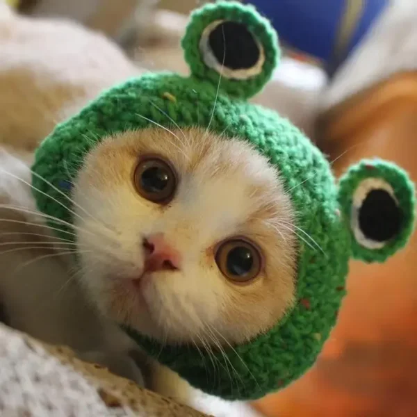 S0199d1bad7e742858e6f160f17c807a93.webp Cute Cat Hat Funny Pets Party Cosplay Headwear Delicate Hemming Pendant Decor Elasticity Knitted Hat Pet Accessories