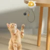 Automatic Lifting Cat Toy - Electric Teaser Ball with Adjustable Clamp