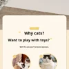 Automatic Lifting Cat Toy - Electric Teaser Ball with Adjustable Clamp