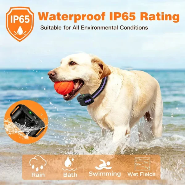 S106e8e4e969e45cdb17a124dcaaa6f6cB.webp Dog Training Collar - Long Range Remote for 5-120lb Dogs