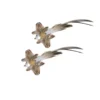 S11bda1deba93430cb01c37b5277eebf2H.webp Interactive Cat Feather Toy - Suction Cup Mounted with Replaceable Feathers