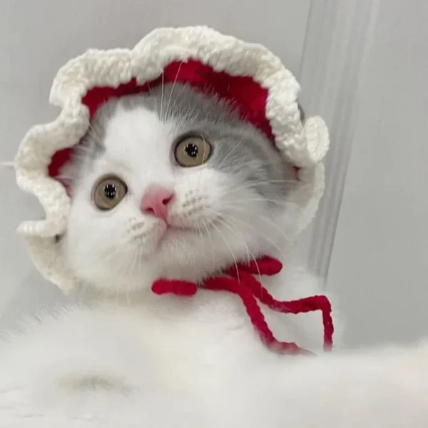 S12c98010d26347f7a1ffebf84d70e397W.webp Cute Cat Hat Funny Pets Party Cosplay Headwear Delicate Hemming Pendant Decor Elasticity Knitted Hat Pet Accessories