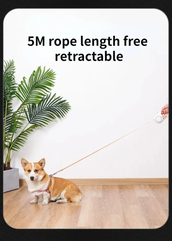 LED Retractable Dog Leash - Illuminated Roulette Leash with 3M/5M Options
