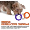 TPR Dog Toy - 3-Ring Chew for Teeth Cleaning & Interactive Play