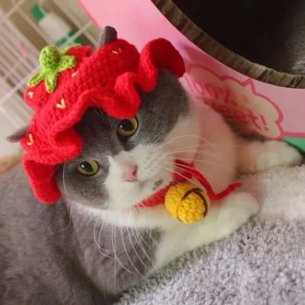 S33b602d4faac4eef85c2818c8e23597ah.webp Cute Cat Hat Funny Pets Party Cosplay Headwear Delicate Hemming Pendant Decor Elasticity Knitted Hat Pet Accessories