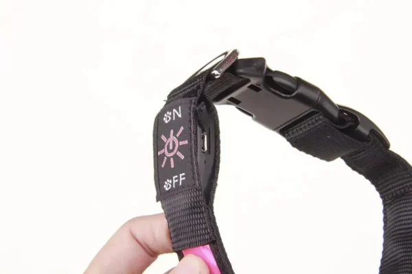 S347fbe50eede4c1dae828b6ca0bf5aecs.webp LED Luminous Dog Collar Adjustable Flashing USB Charging Glowing Collar Night Light Harness For Big Medium Small Dogs Pet Items