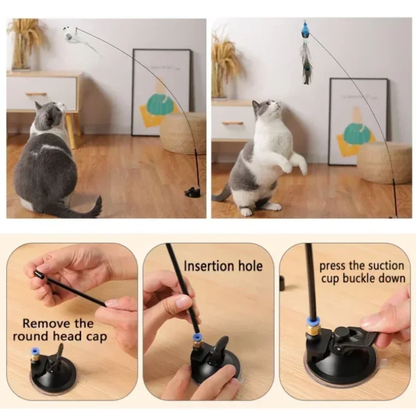 S37505ec493a3429bbe5c0a7471de60ffc.webp Interactive Cat Feather Toy - Suction Cup Mounted with Replaceable Feathers