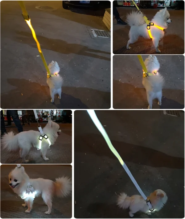 S3a5cba8173a14678a9ac85691f15d9ecy.webp LED Glow Dog Harness - Reflective No-Pull Harness with 3 Light Modes