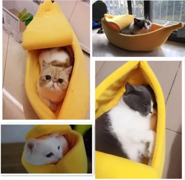 Banana Cat Bed - Cute Fruit-Shaped Pet Bed with Thick Cushion