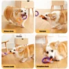 TPR Dog Toy - 3-Ring Chew for Teeth Cleaning & Interactive Play