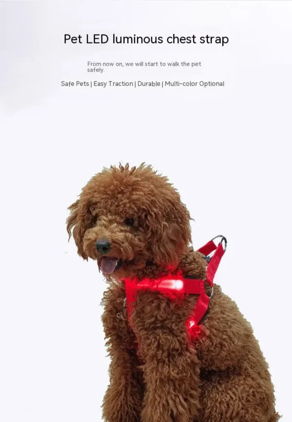 S50a7ac11364d4434938cdf61ace325a69.webp LED Glow Dog Harness - Reflective No-Pull Harness with 3 Light Modes