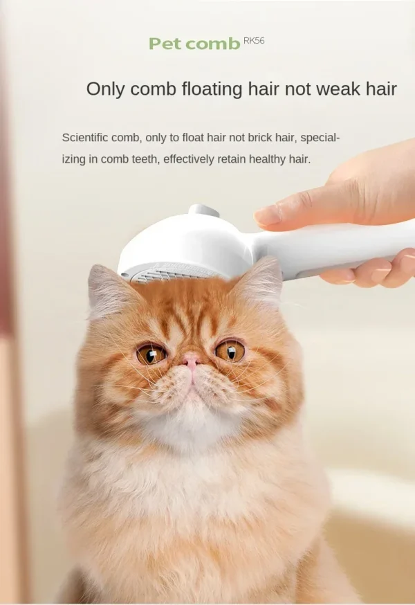 S547122243f5d4dec948f29abc8f830a6W.webp Electric Steamer Brush - 3-in-1 Dog Grooming with Hydration Spray