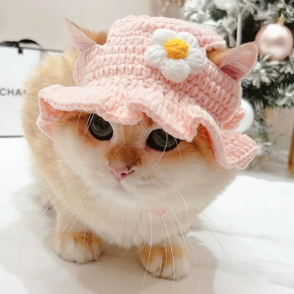 S5837e36e4af5422eaf29f0a48b233f63s.webp Cute Cat Hat Funny Pets Party Cosplay Headwear Delicate Hemming Pendant Decor Elasticity Knitted Hat Pet Accessories