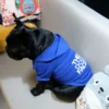 Hooded Pet Jacket - Dog Face Wind Coat Hoodie for Small to Large Dogs